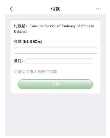 　　截图：付款页面